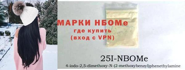 твердый Бородино