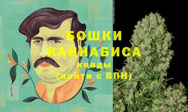 дмт Богданович