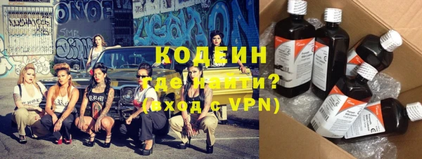 твердый Бородино