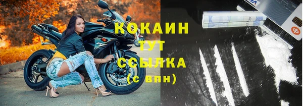 твердый Бородино