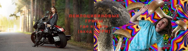 прущий лед Протвино