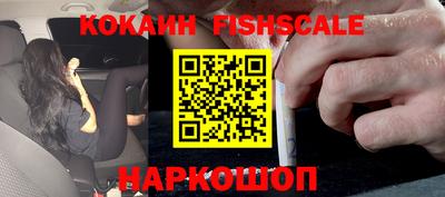 стаф Камышлов