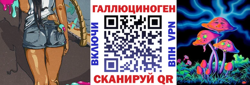 Псилоцибиновые грибы Psilocybe  Среднеуральск 