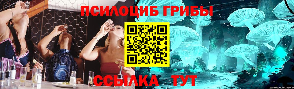 Среднеуральск  Псилоцибиновые грибы MAGIC MUSHROOMS  Вход с VPN 