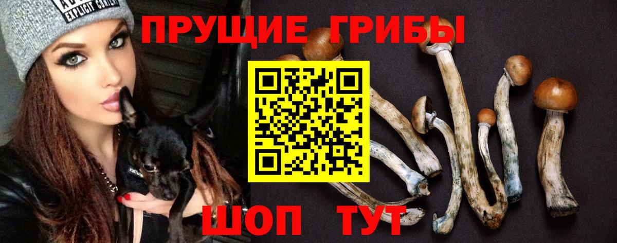 Галлюциногенные грибы Cubensis Среднеуральск